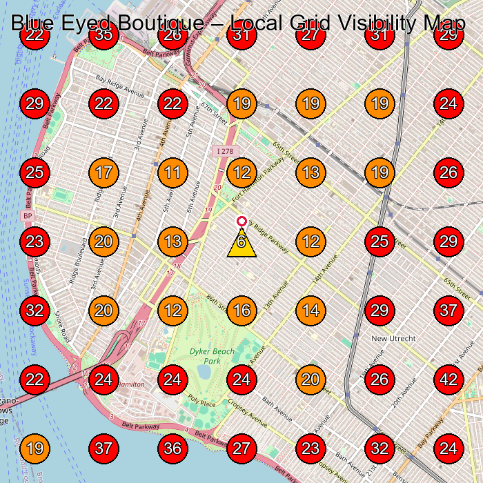 Blue Eyed Boutique GeoGrid visibility map for Women'S Clothing Store in Brooklyn